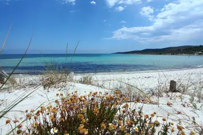 Paesaggio naturale nelle vicinanze dell'appartamento