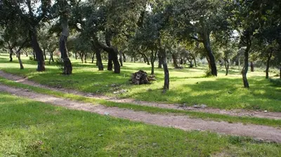 Giardino di B&B Sa Soliana