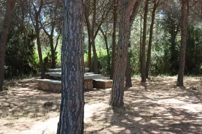 Giardino di Sa Curcurica