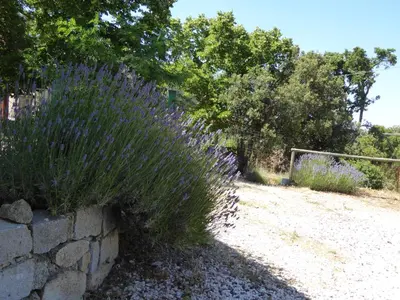 Giardino di Casa Solotti