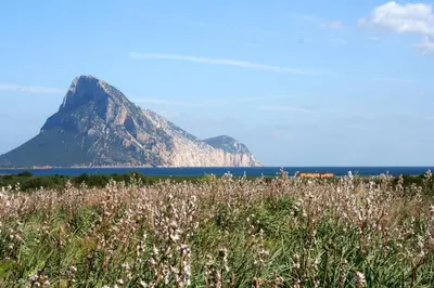 Paesaggio naturale nelle vicinanze della casa vacanze