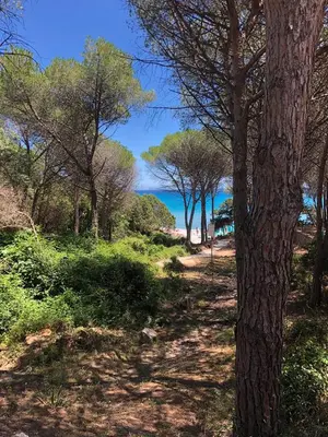Paesaggio naturale nelle vicinanze dell'appartamento