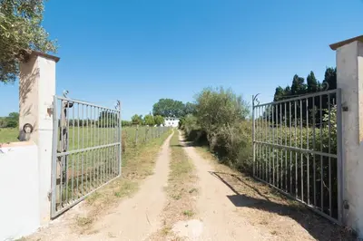 Planimetria di Sa lampana