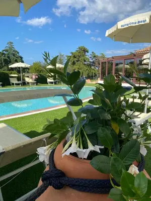 Piscina di Hotel Cala Mirto o nelle vicinanze