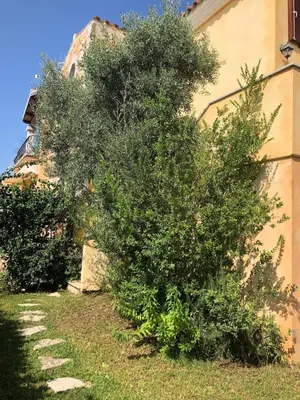 Giardino di Casa Giumagio
