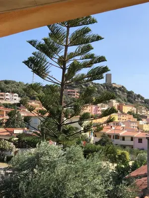 Vista generica sulle montagne o vista sulle montagne dall'interno della casa vacanze