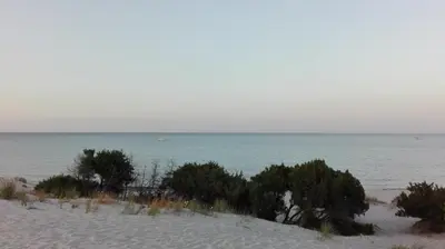 Paesaggio naturale nelle vicinanze dell'appartamento