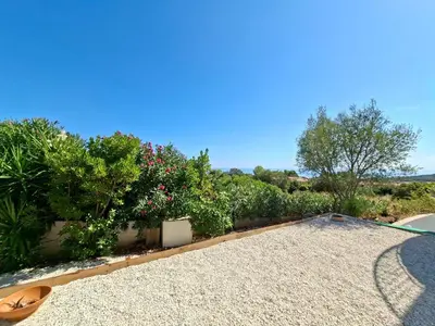 Giardino di Jade Vision