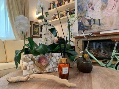 Planimetria di A due passi olbia