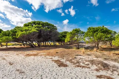 Paesaggio naturale nelle vicinanze della casa vacanze