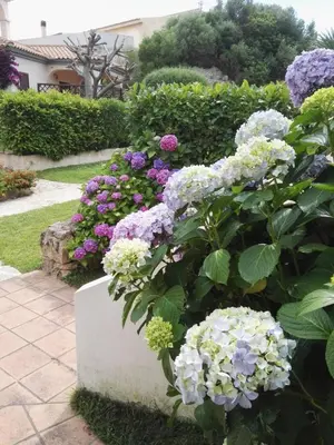 Giardino di appartamento con vista piscina