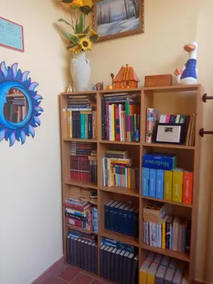 Biblioteca nell'affittacamere
