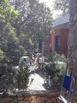 Giardino di Corbezzolo