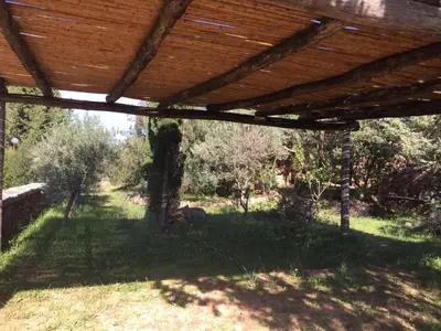 Giardino di Corbezzolo