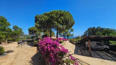 Giardino di Mirto