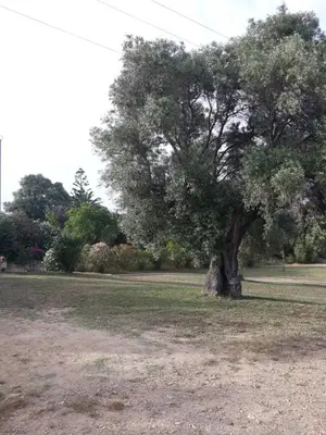 Paesaggio naturale nelle vicinanze della casa vacanze