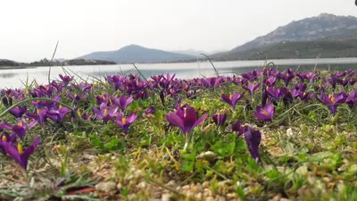 Paesaggio naturale nelle vicinanze della casa vacanze