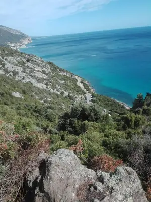 Paesaggio naturale nelle vicinanze dell'appartamento