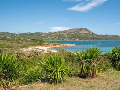 Paesaggio naturale nelle vicinanze della casa vacanze