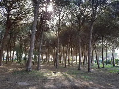 Paesaggio naturale nelle vicinanze dell'appartamento