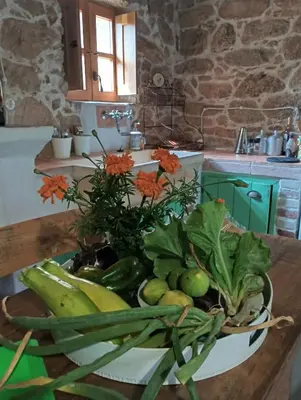 Planimetria di holiday home su Niberalzu
