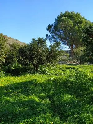 Paesaggio naturale nelle vicinanze dell'appartamento