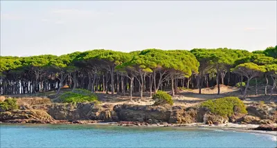 Paesaggio naturale nelle vicinanze dell'appartamento