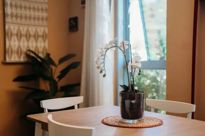 Planimetria di Sardegna é - BApartments
