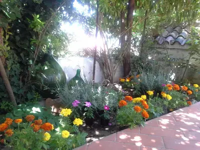 Giardino di B&B Corte San Lussorio