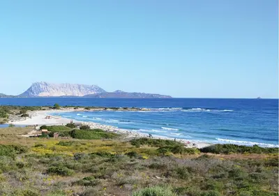 Paesaggio naturale nelle vicinanze dell'appartamento