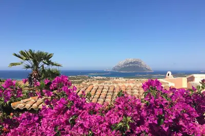 Paesaggio naturale nelle vicinanze della villa