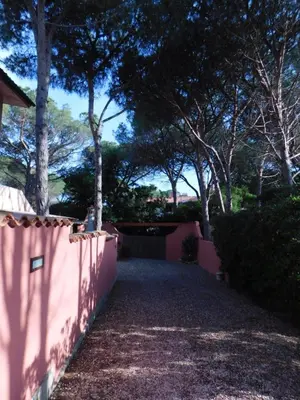 Giardino di Summer Time