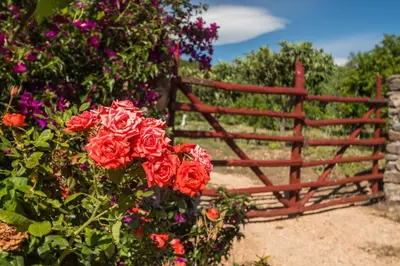 Giardino di Sa tanca 'e Pedduzza