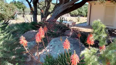 Giardino di B&B Andrieddu