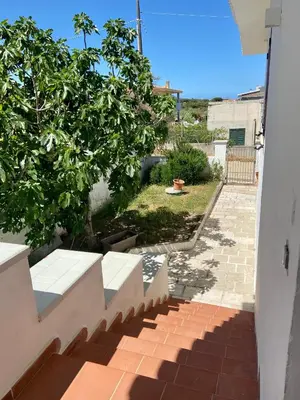 Planimetria di Appartamento vista mare