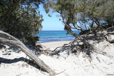 Paesaggio naturale nelle vicinanze dell'affittacamere