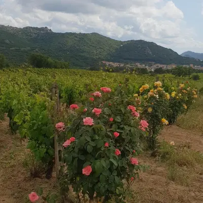 Paesaggio naturale nelle vicinanze dell'agriturismo
