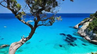 Paesaggio naturale nelle vicinanze dell'appartamento
