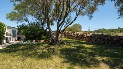 Planimetria di Welcomely - Mediterranea