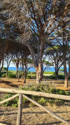 Paesaggio naturale nelle vicinanze dell'appartamento