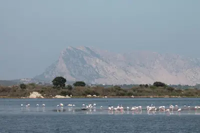 Paesaggio naturale nelle vicinanze del bed & breakfast