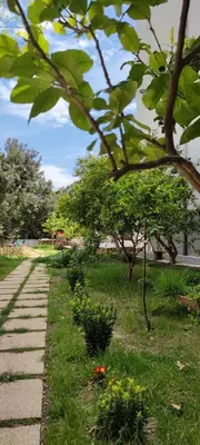 Giardino di Appartamento Oltremare IUNQ5361
