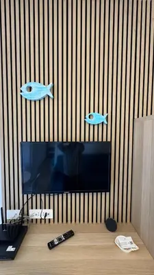 TV o dispositivi per l'intrattenimento presso BEACH HOUSE STEFI