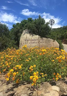 Giardino di San Teodoro Punta Est Delizioso Monolocale Vista Mare