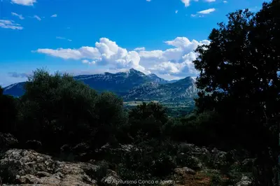 Paesaggio naturale nelle vicinanze dell'agriturismo