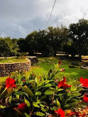 Giardino di Agriturismo Conca' e Janas