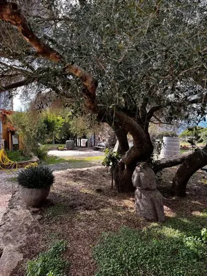 Giardino di Agriturismo Conca' e Janas