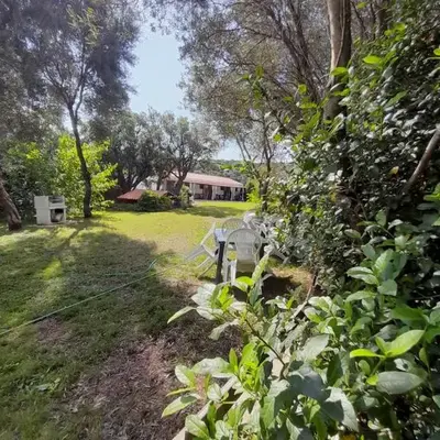 L'Ulivo