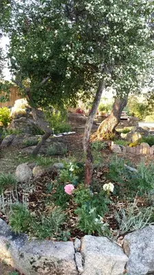 Giardino di Casa vacanze Olbia - ALEBEA -