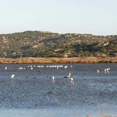 Paesaggio naturale nelle vicinanze della stanza in casa privata